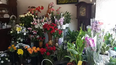 Kwiaciarnia Wszystkie Kwiaty